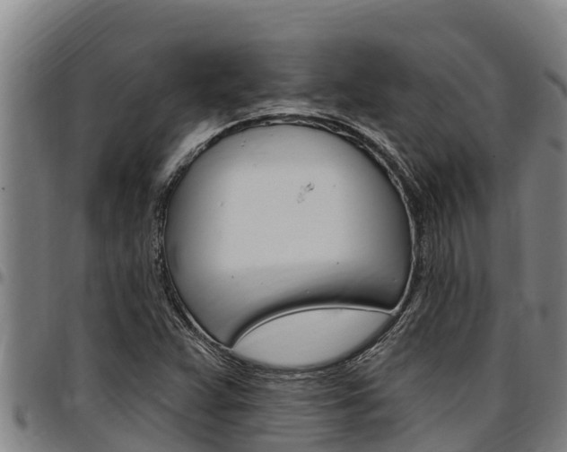 X0000097511359200802220855