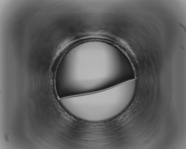 X0000097511360200802220855