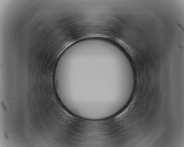X0000097511361200802220855