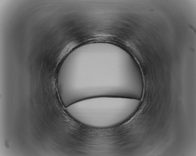 X0000097511362200802220855