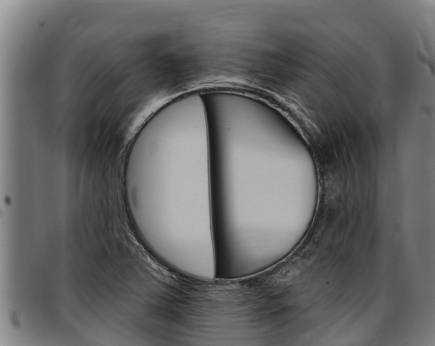 X0000097511363200802220855