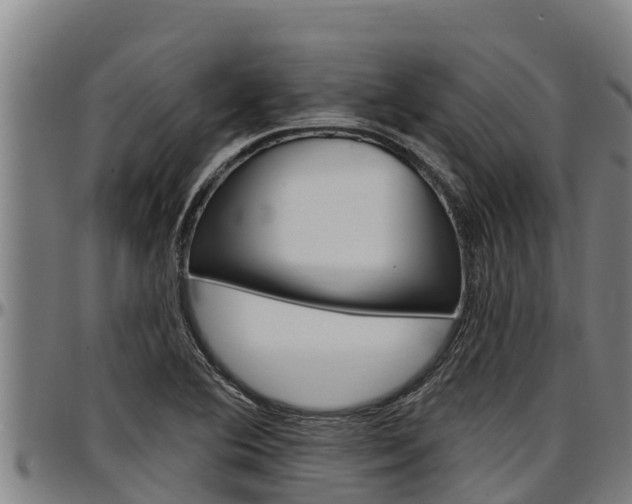 X0000097511364200802220855