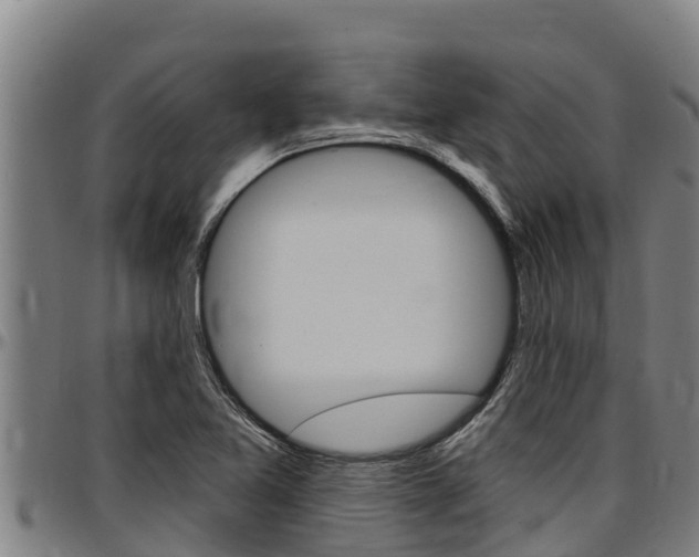 X0000097511365200802220855