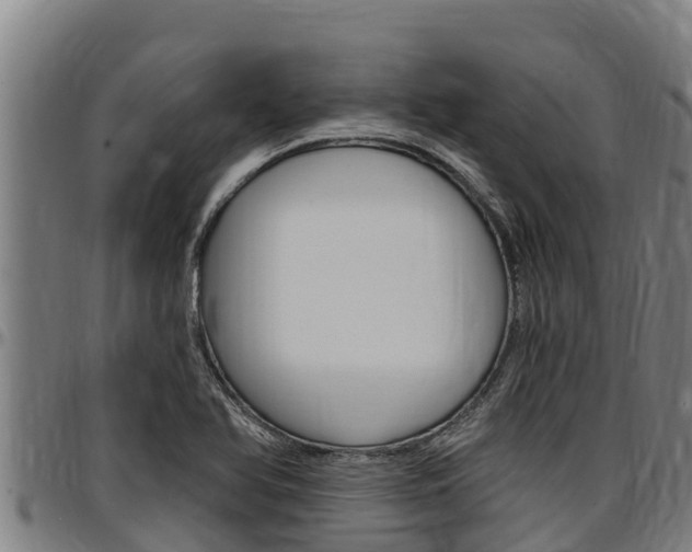 X0000097511366200802220855