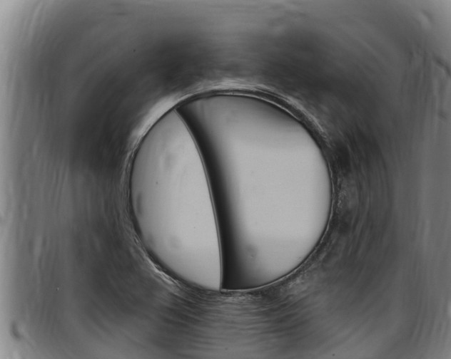 X0000097511367200802220855
