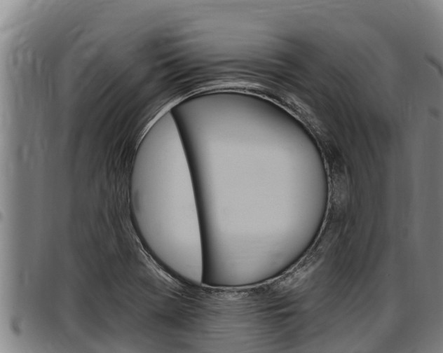 X0000097511369200802220855