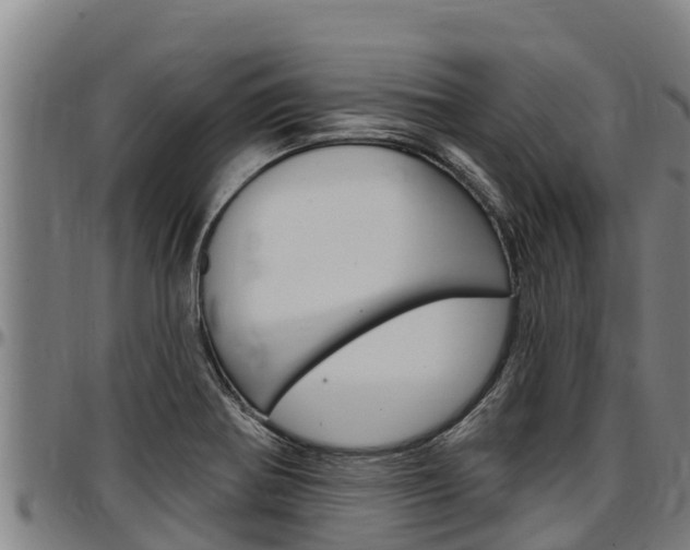X0000097511370200802220855