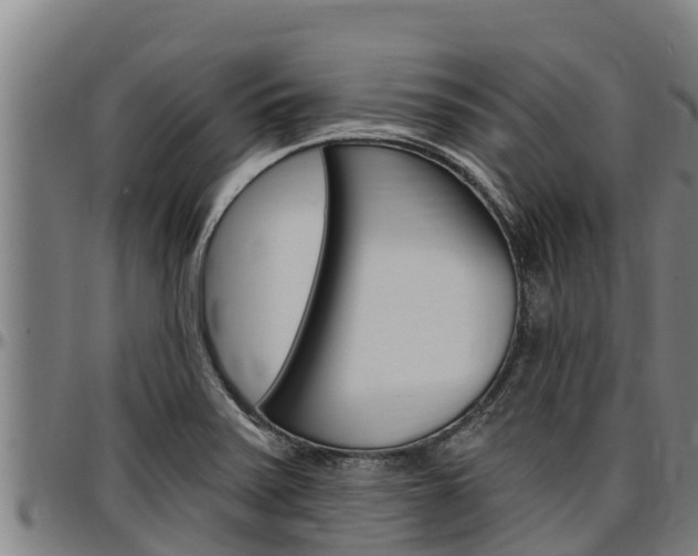 X0000097511371200802220855