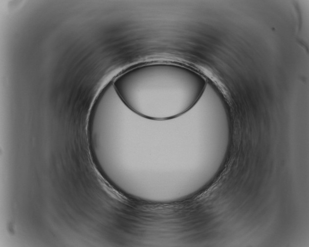 X0000097511372200802220855