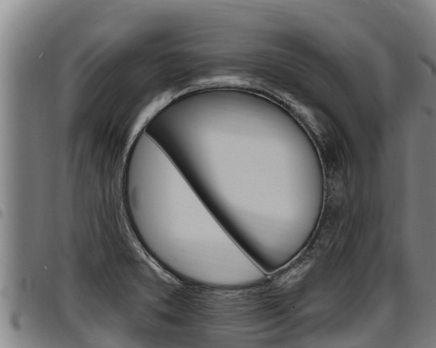 X0000097511373200802220855