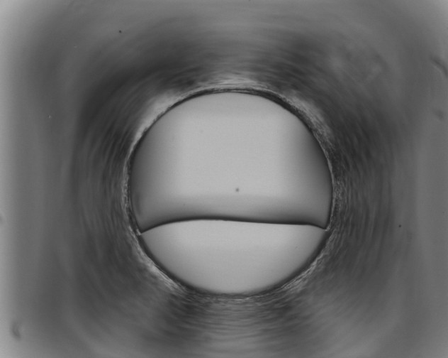 X0000097511374200802220855