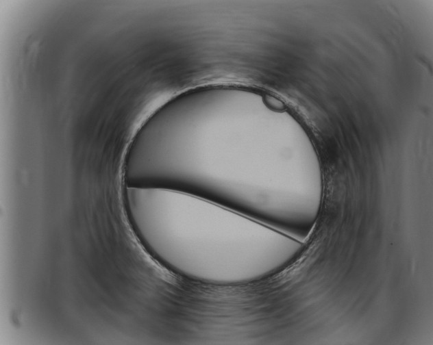 X0000097511375200802220855