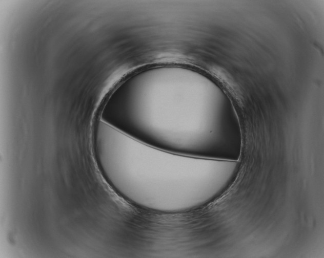 X0000097511376200802220855
