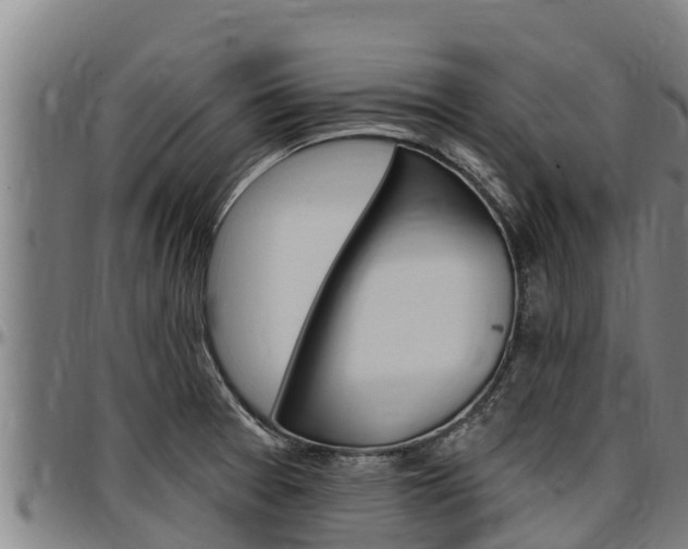 X0000097511377200802220855