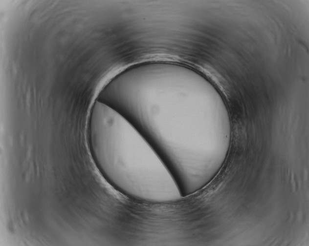 X0000097511379200802220855