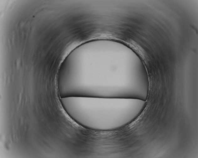 X0000097511382200802220855
