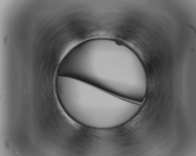 X0000097511383200802220855
