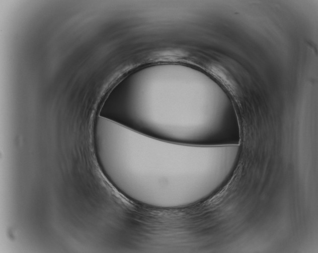 X0000097511384200802220855