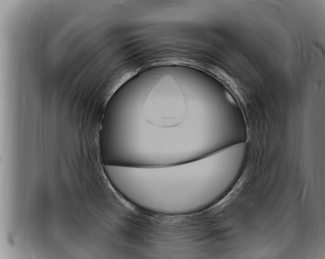 X0000097511385200802220855