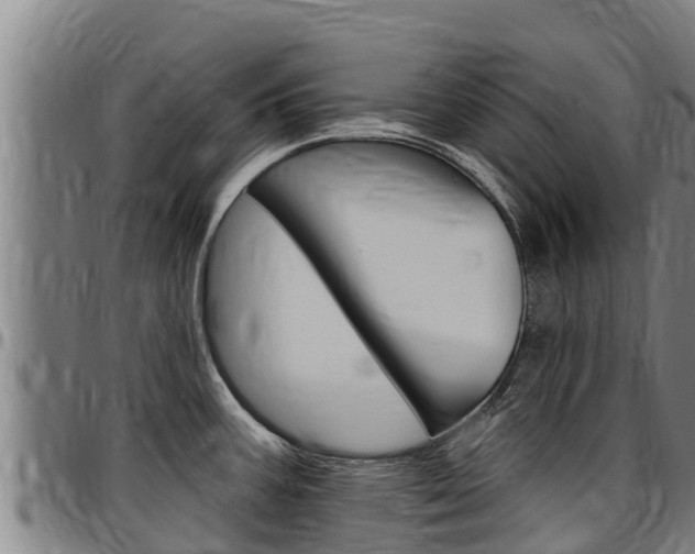 X0000097511387200802220855