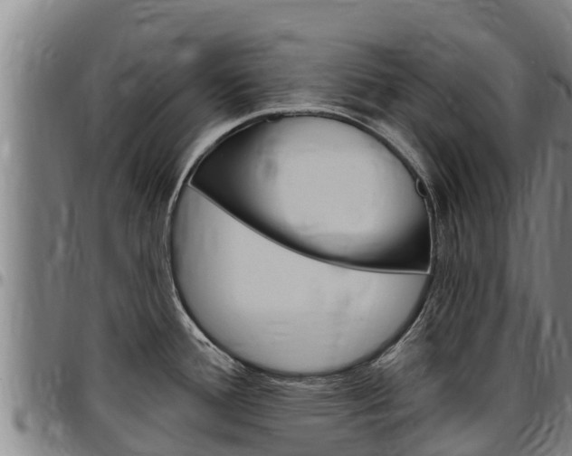 X0000097511388200802220855