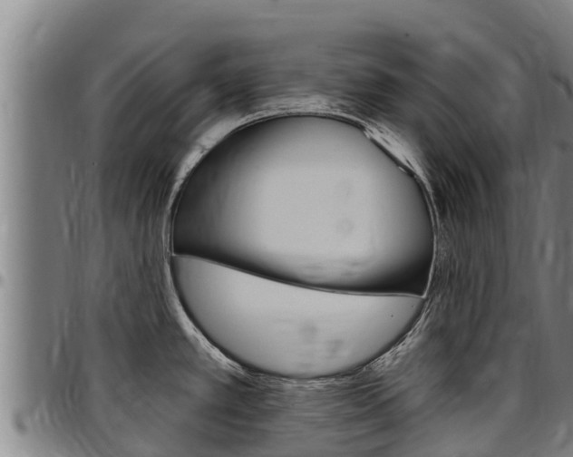 X0000097511389200802220855