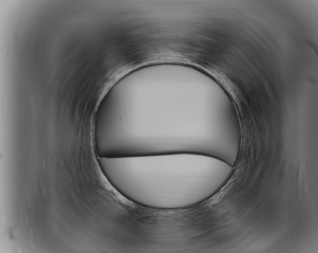 X0000097511390200802220855