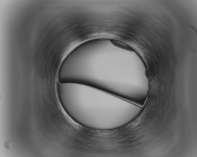 X0000097511391200802220855