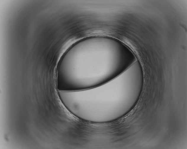 X0000097511392200802220855