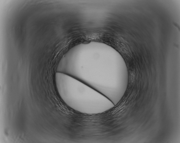 X0000097511393200802220854