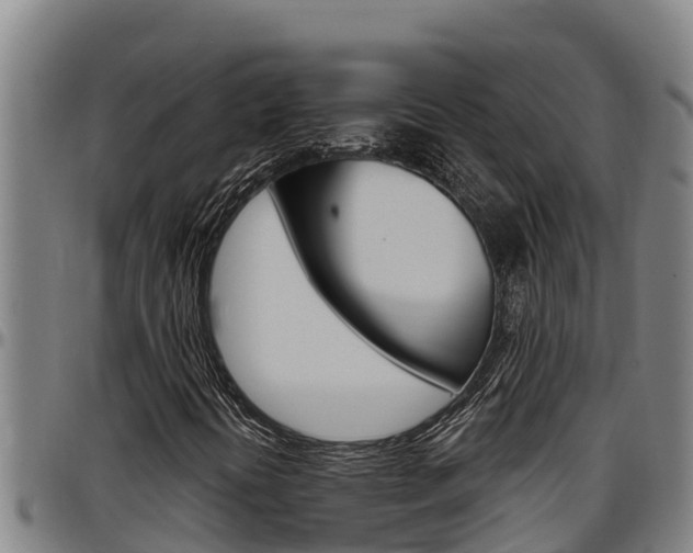 X0000097511394200802220854