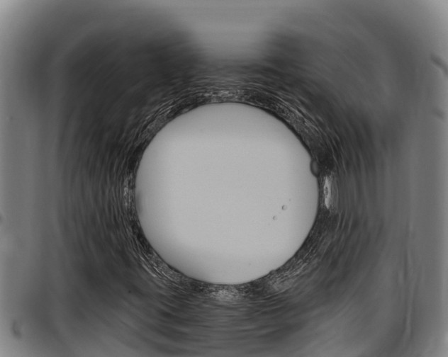 X0000097511395200802220854