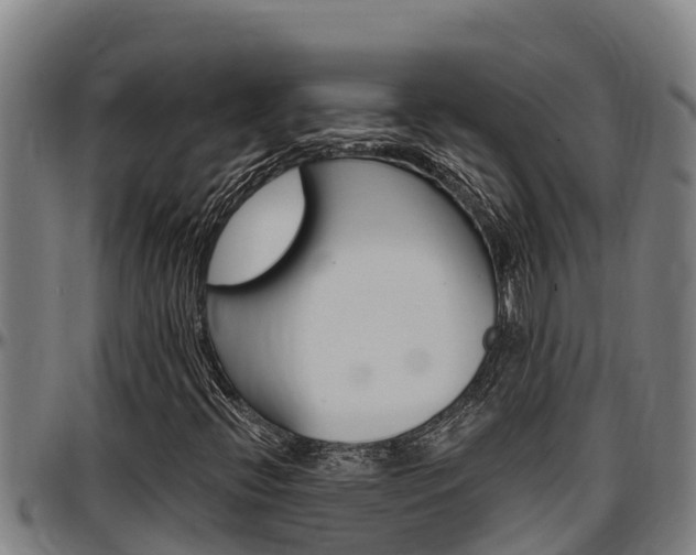 X0000097511396200802220854