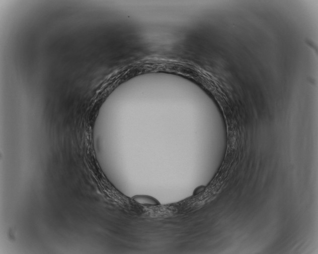 X0000097511397200802220854