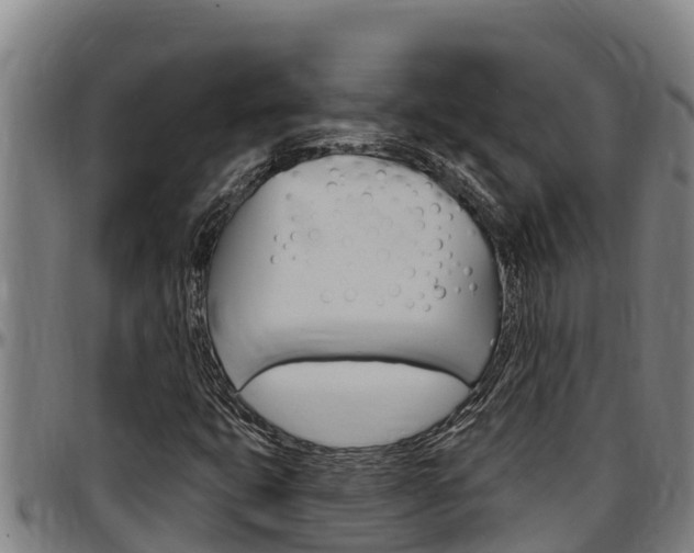 X0000097511399200802220854