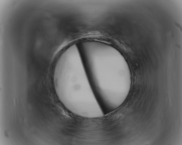 X0000097511400200802220854