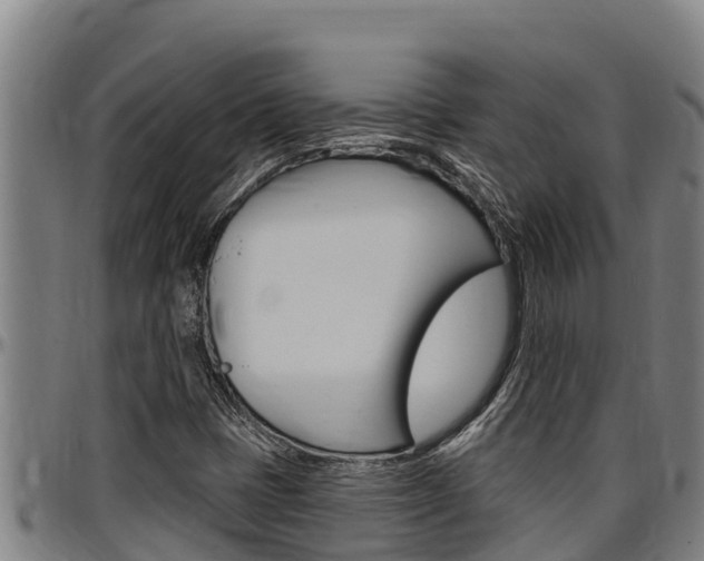 X0000097511401200802220854