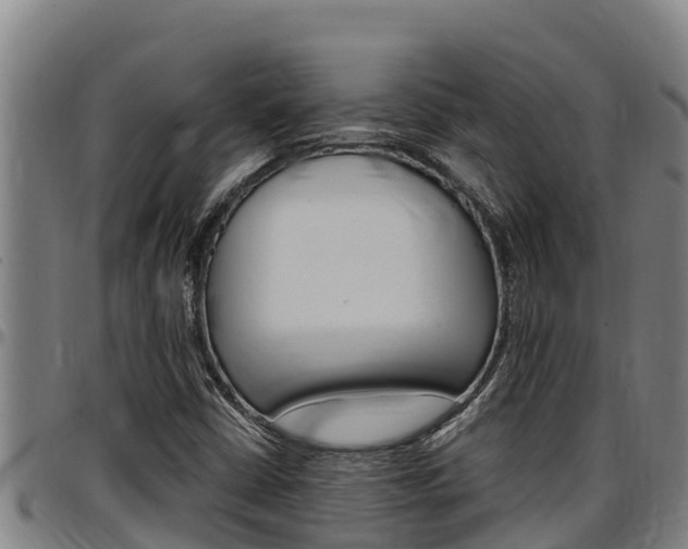 X0000097511402200802220854