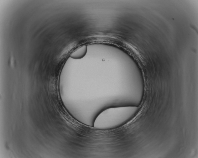 X0000097511403200802220854