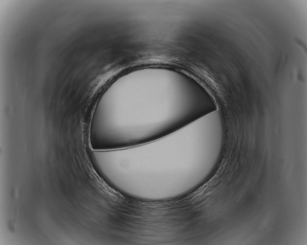 X0000097511404200802220854