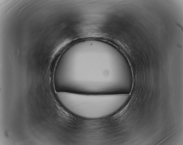 X0000097511406200802220854