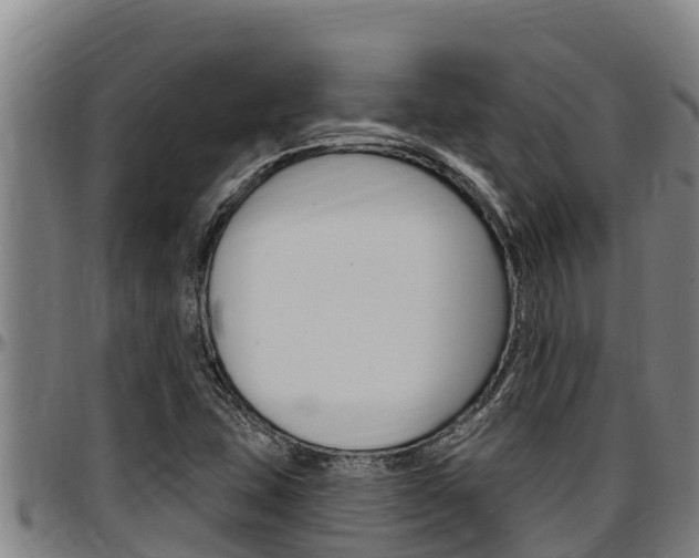 X0000097511407200802220854