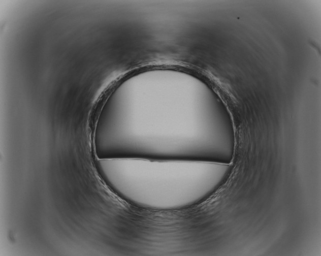 X0000097511408200802220854