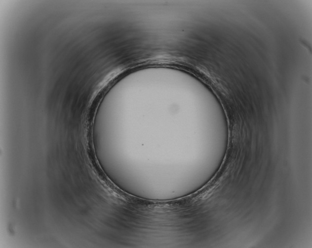 X0000097511410200802220854