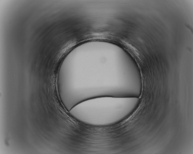 X0000097511411200802220854