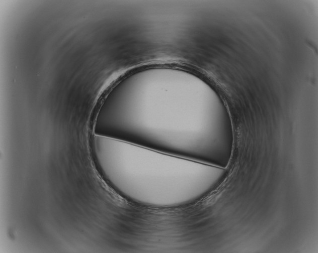 X0000097511412200802220854