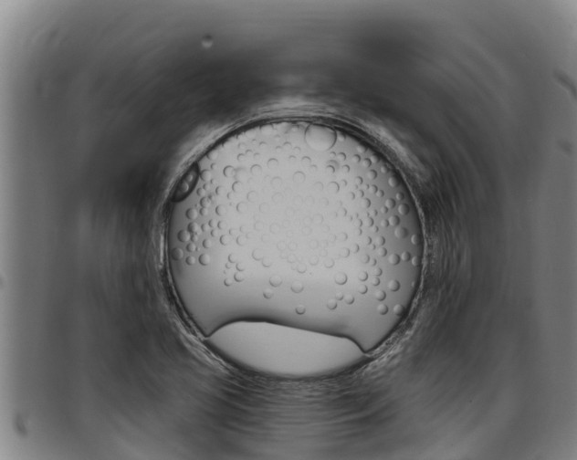 X0000097511413200802220854