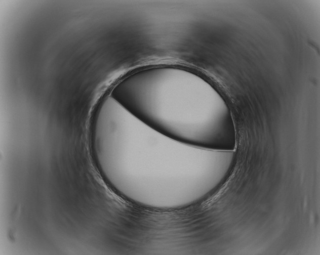 X0000097511414200802220854