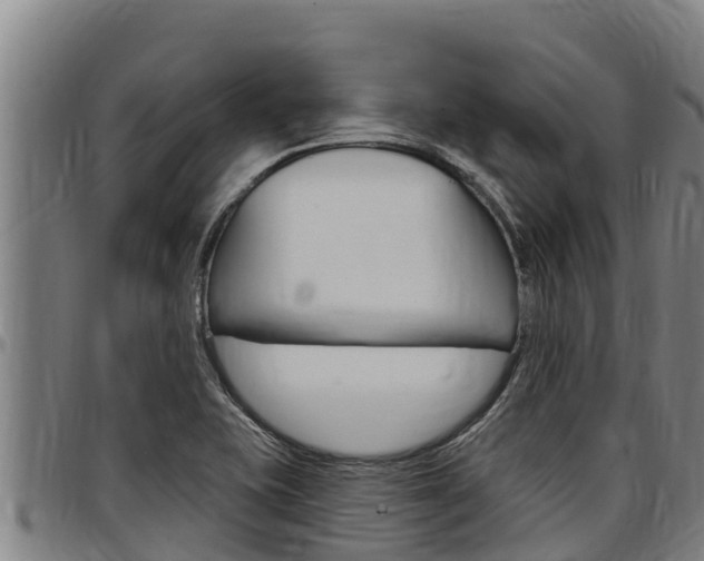 X0000097511415200802220854