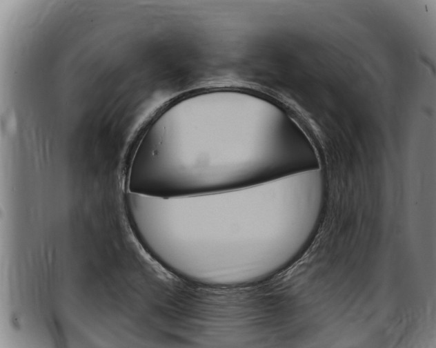X0000097511416200802220854